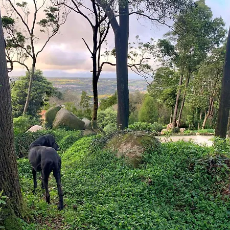 Eighteen21 - Quinta Velha Sintra