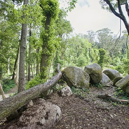 Vendégház Eighteen21 - Quinta Velha Sintra